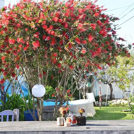 Albergue Portuguese Loveboat Baleal